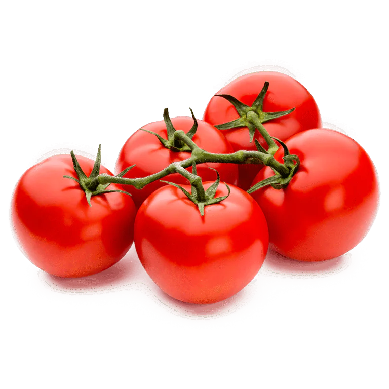 How to Grow Tomatoes from Seed