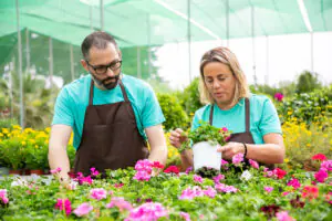 How to Start a Vegetable Garden from Scratch