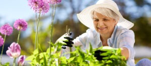 How Do I Get Good at Gardening?