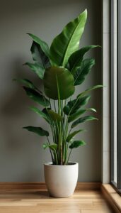 Best Air Purifying Plants for Bedroom