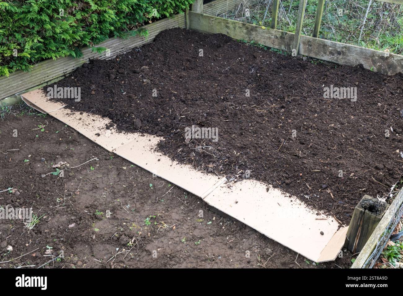 Building a no-dig garden bed over lawn with cardboard and compost