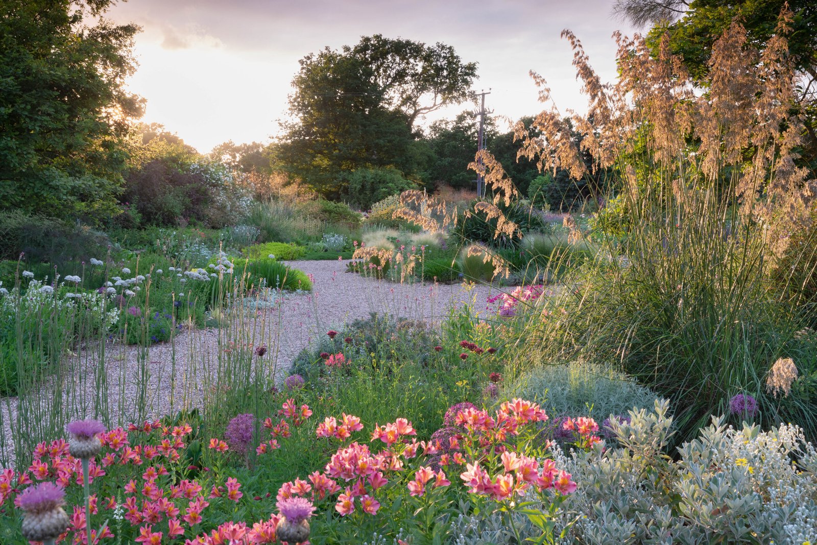 Drought-tolerant garden plants grouped by similar water needs