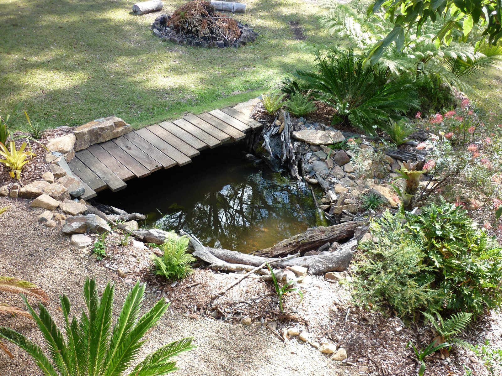 Wildlife pond with shallow edges and stones for frogs and insects