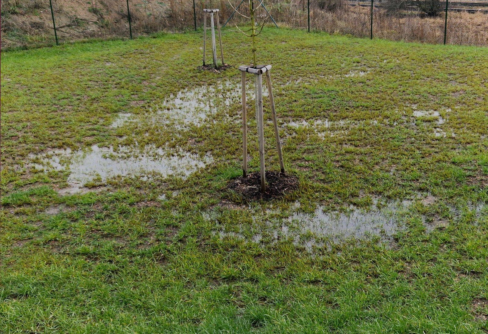 Simple garden soil drainage test using a water-filled hole