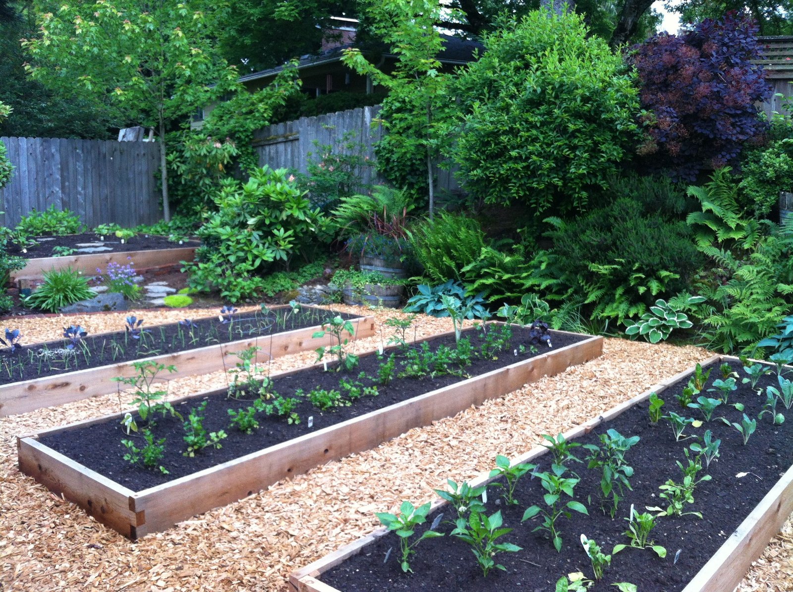 Garden bed covered with an even layer of organic mulch