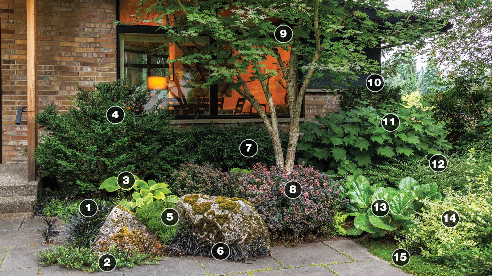 Comparing full sun and partial shade areas before choosing garden plants