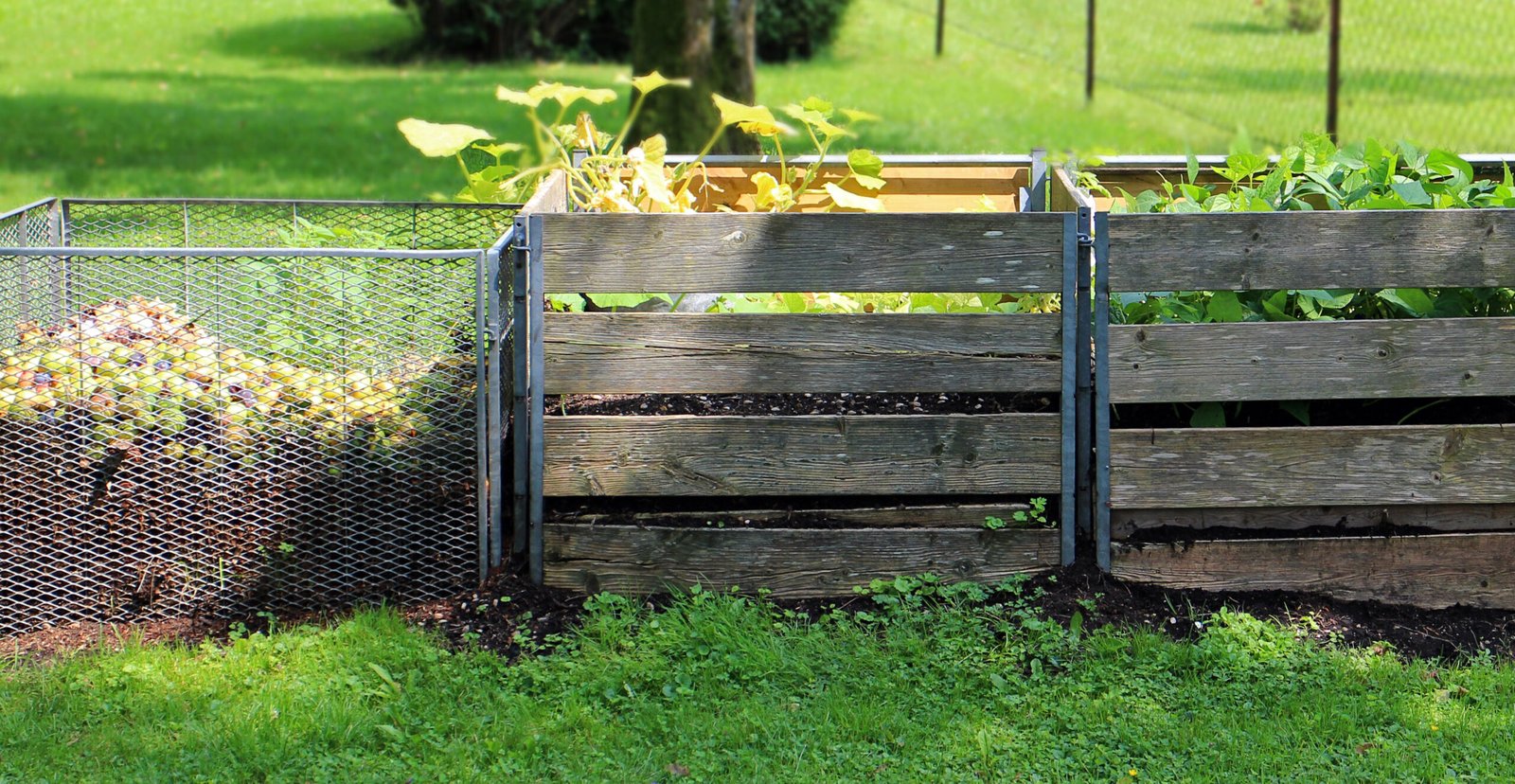 Garden waste such as leaves grass clippings and twigs being reused as compost and mulch