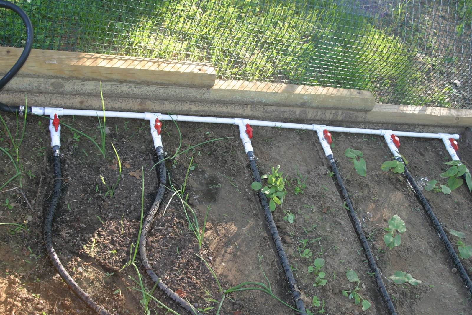 Garden layout with convenient hose and irrigation access