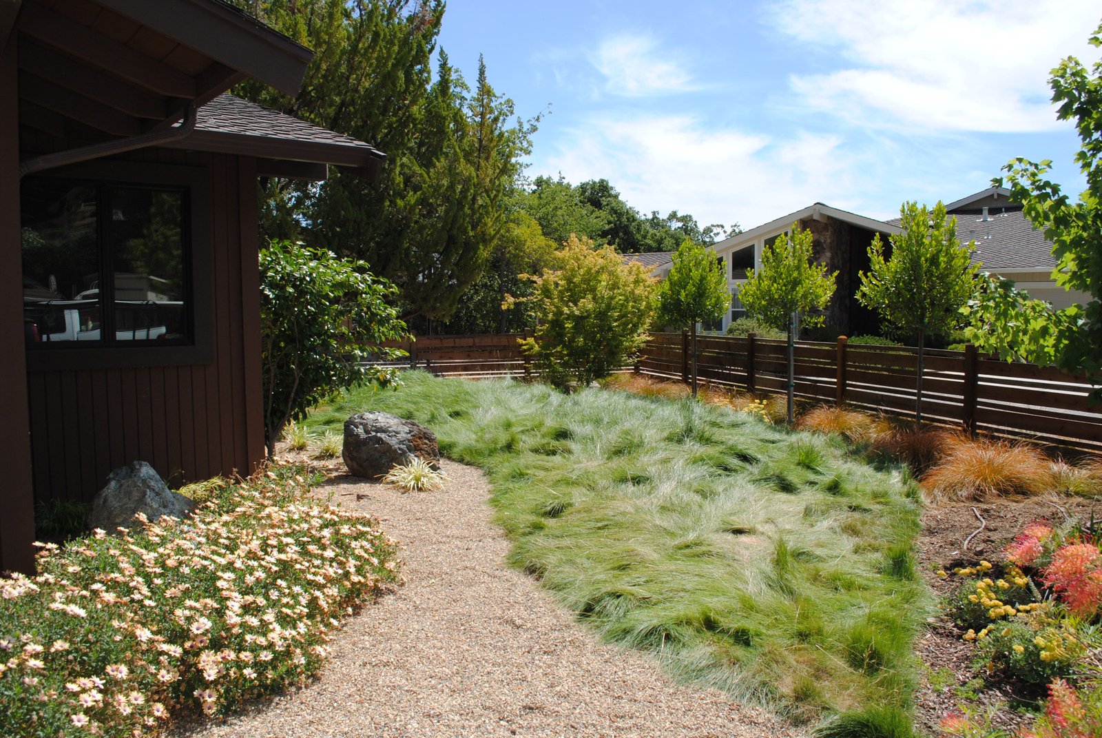 Low-mow drought-tolerant landscape designed to reduce lawn maintenance