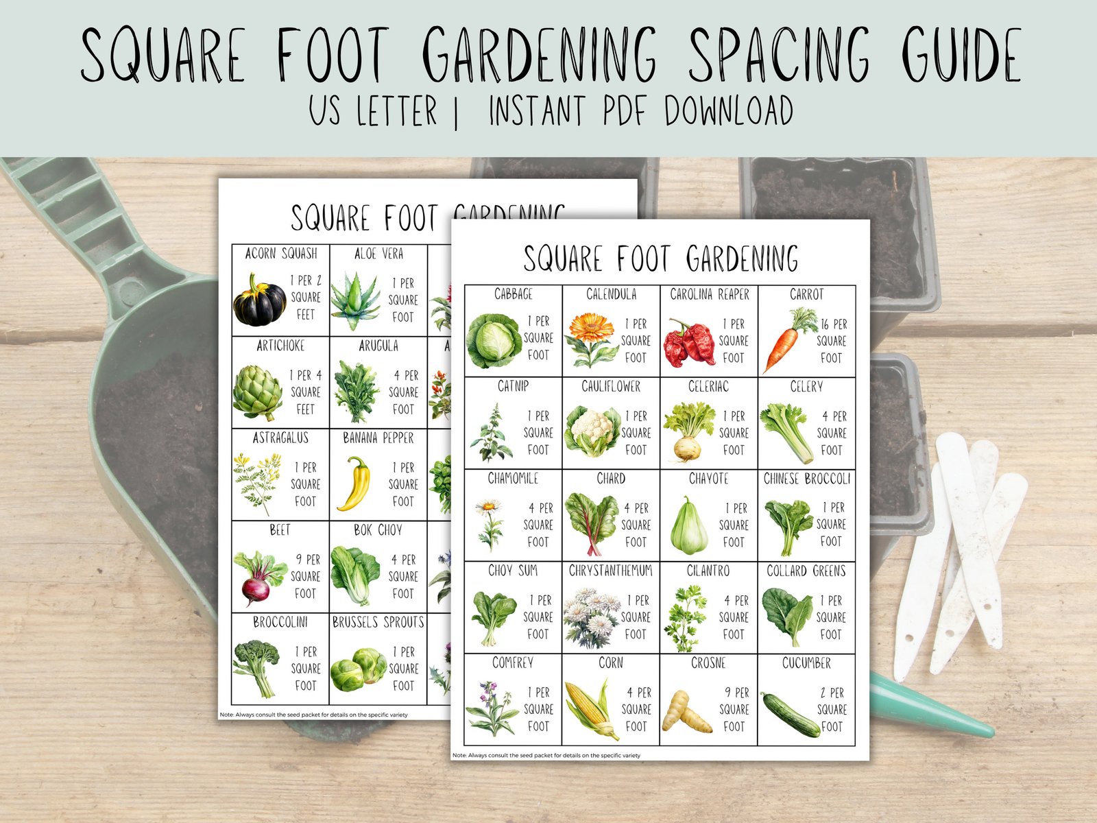 Garden plants spaced according to mature size in a practical planting plan