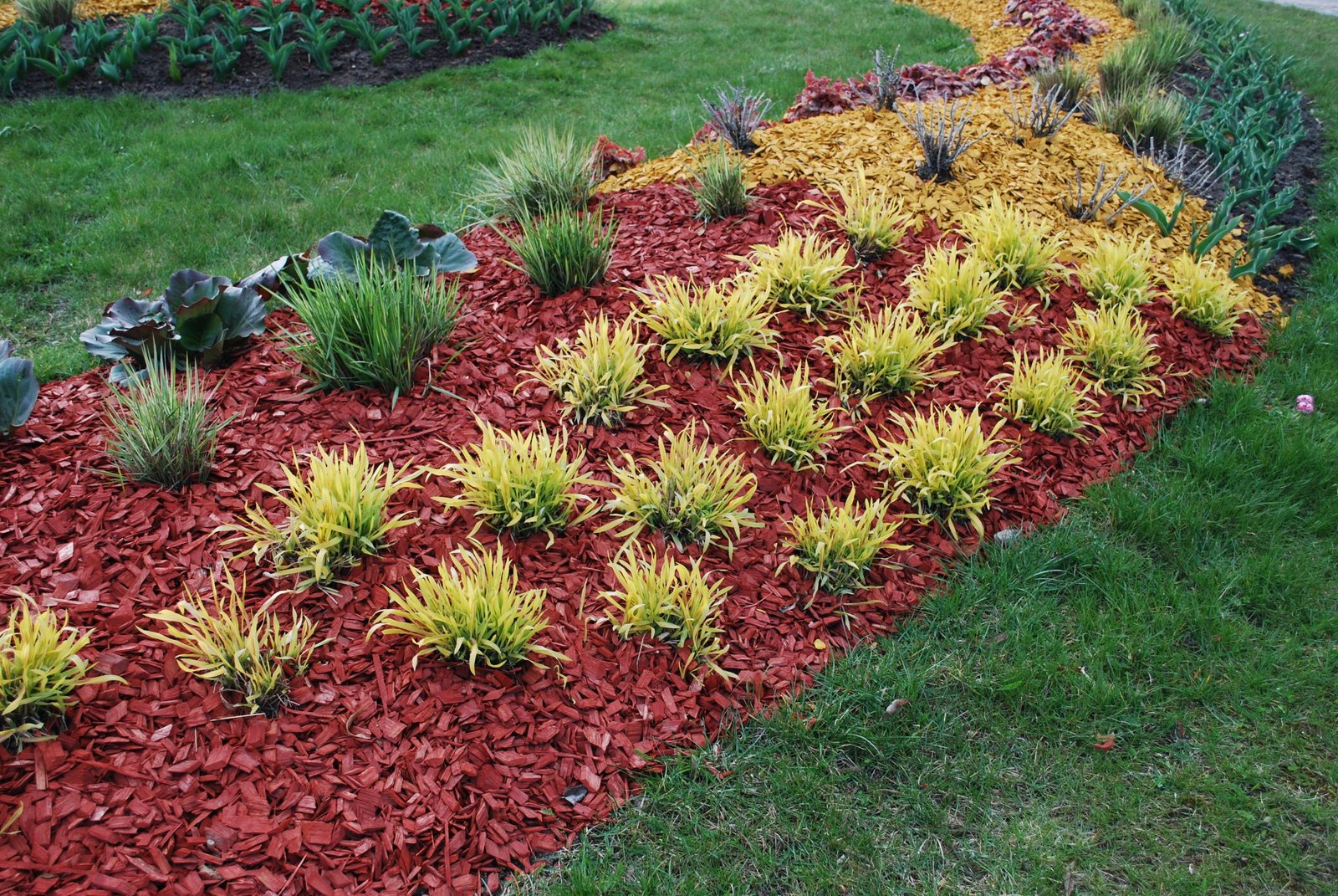 Mulched garden bed designed to conserve soil moisture and reduce evaporation