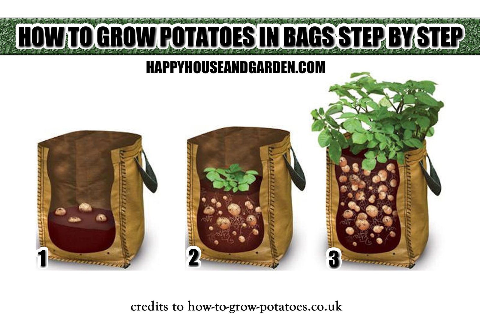 Potato plants growing in a large fabric grow bag on a patio