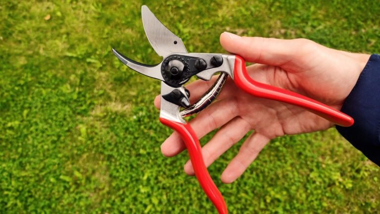 Gardener pruning a healthy shrub with clean sharp hand pruners