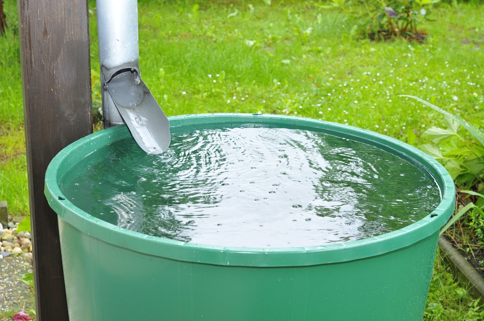 Safe rainwater storage containers positioned beside a home garden