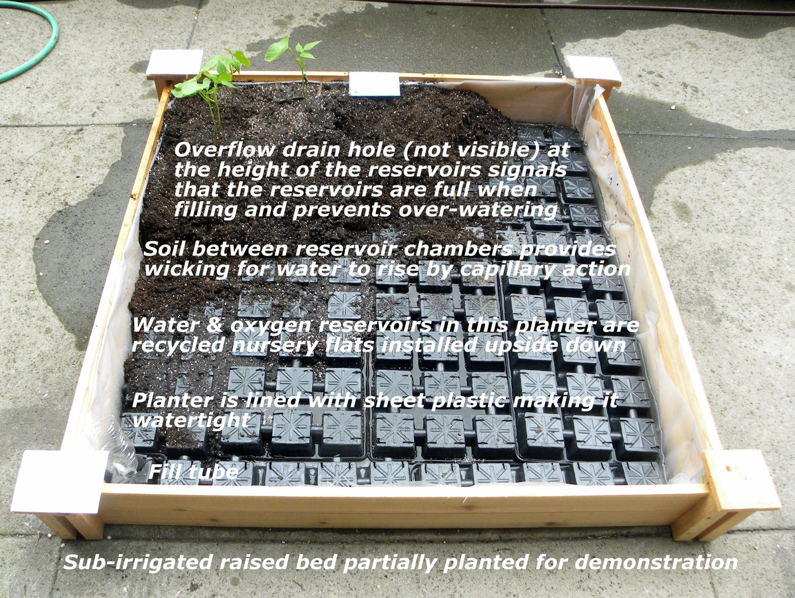 Raised garden bed with improved soil structure and better drainage