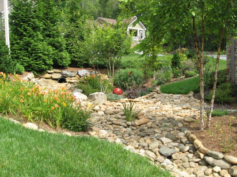 Residential rain garden with native plants designed to capture stormwater runoff