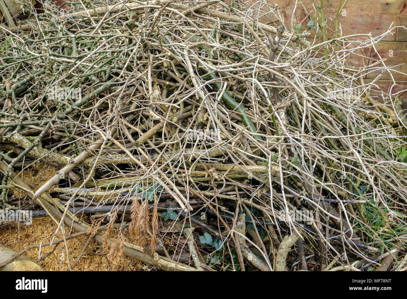 Small branches and twigs reused in a garden habitat pile