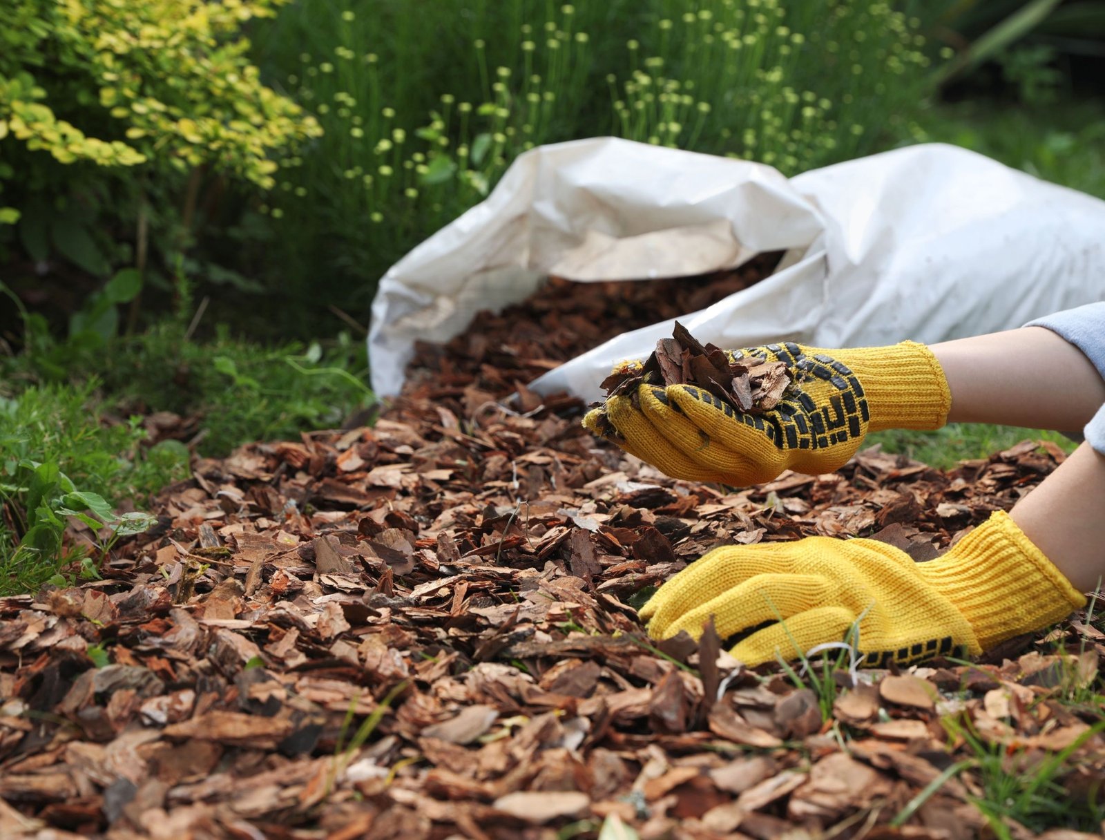 Spring garden maintenance with planting weeding and mulch care