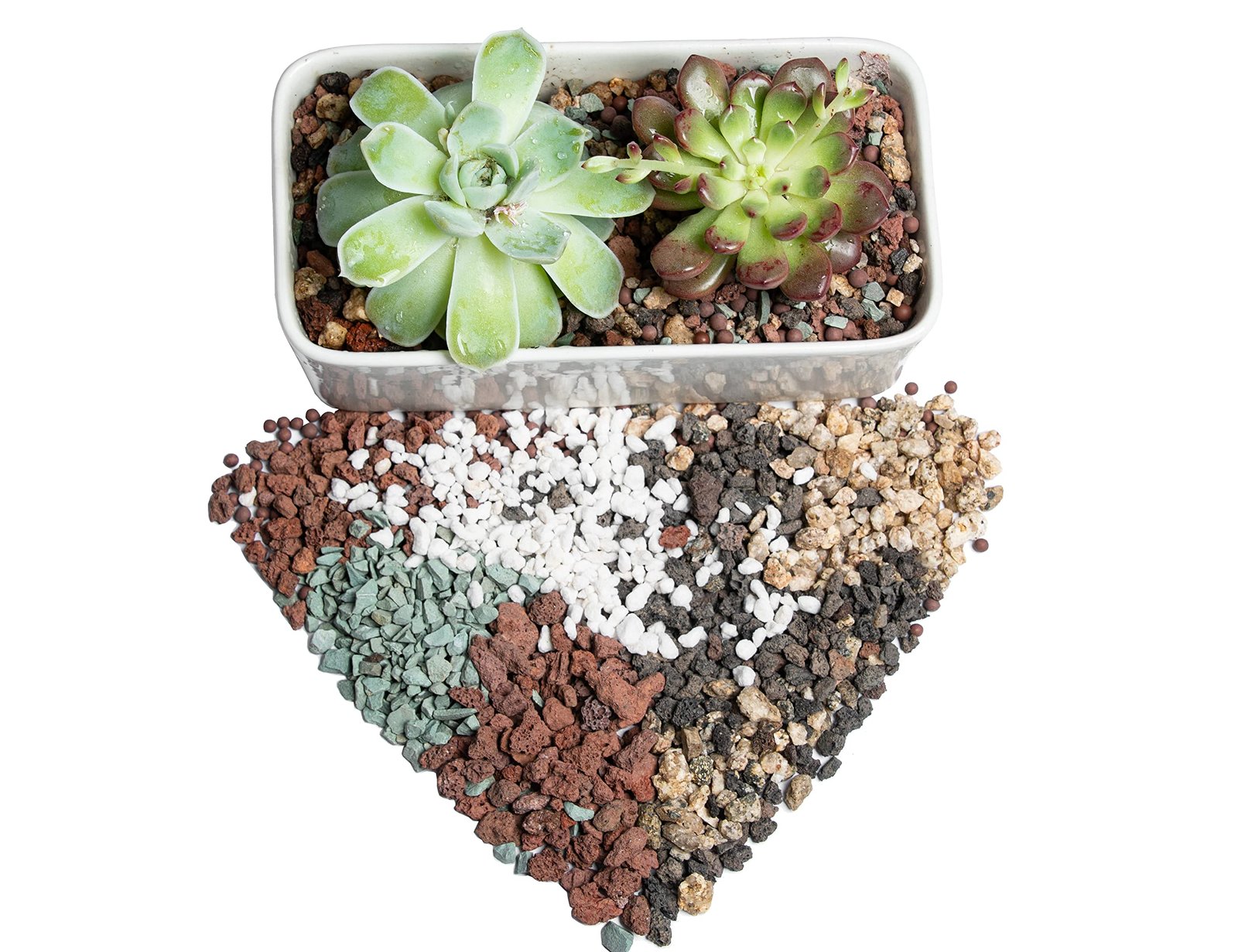 Fast-draining gritty potting mix for succulents and cacti