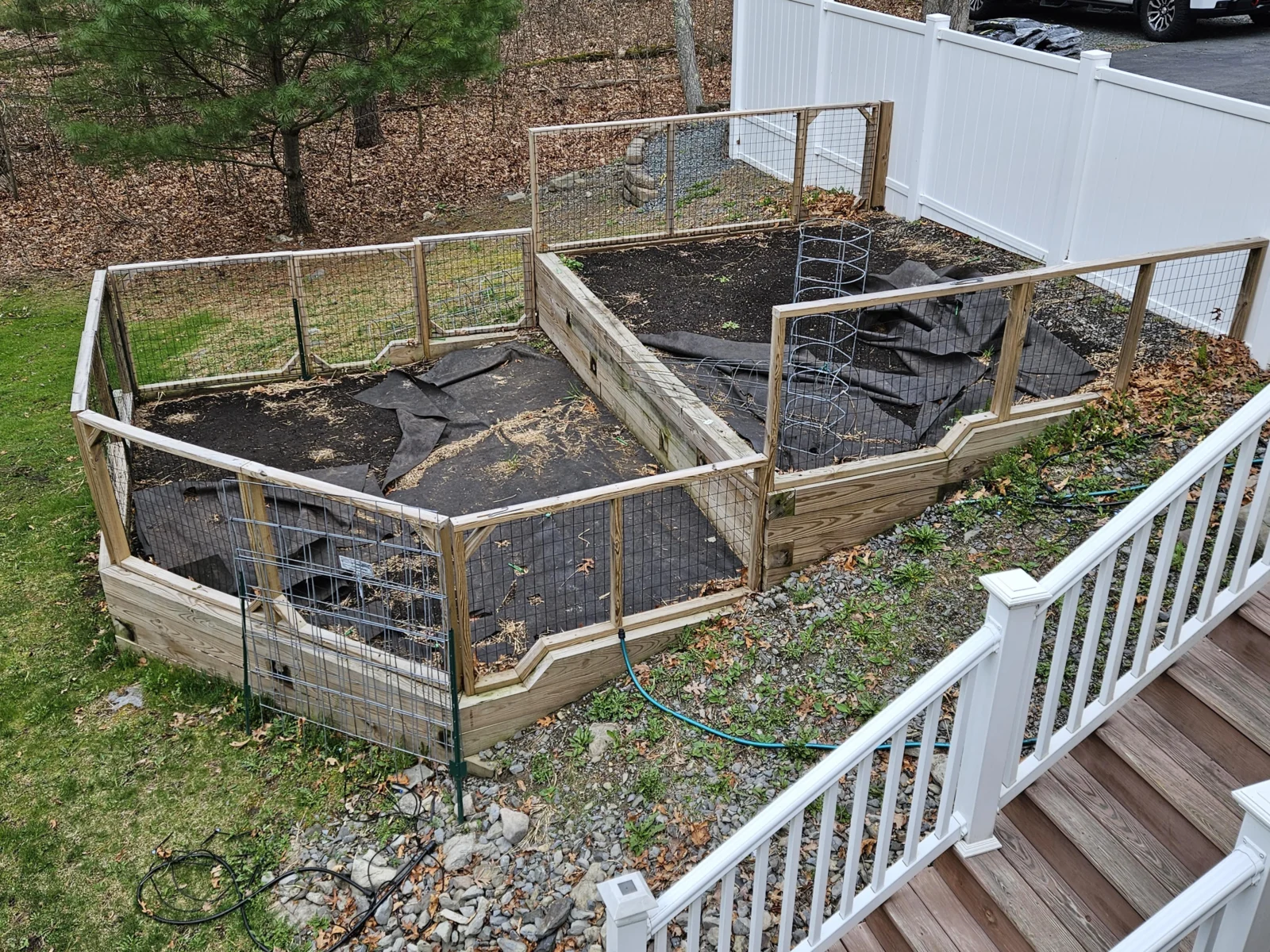 Applying mature compost as a surface top-dressing in a no-dig garden