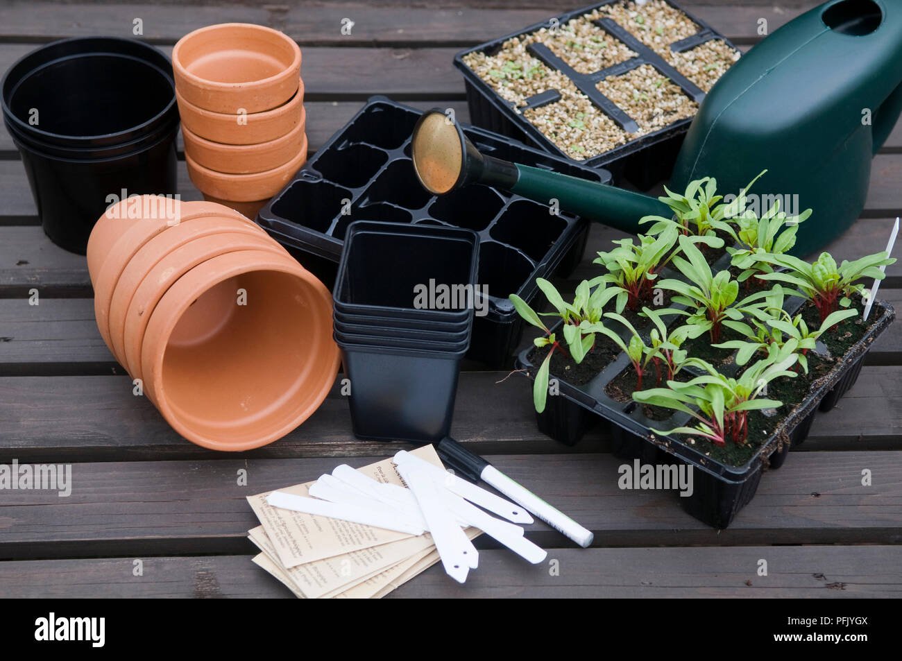 Terracotta pots and reusable seed trays as alternatives to disposable plastic garden products